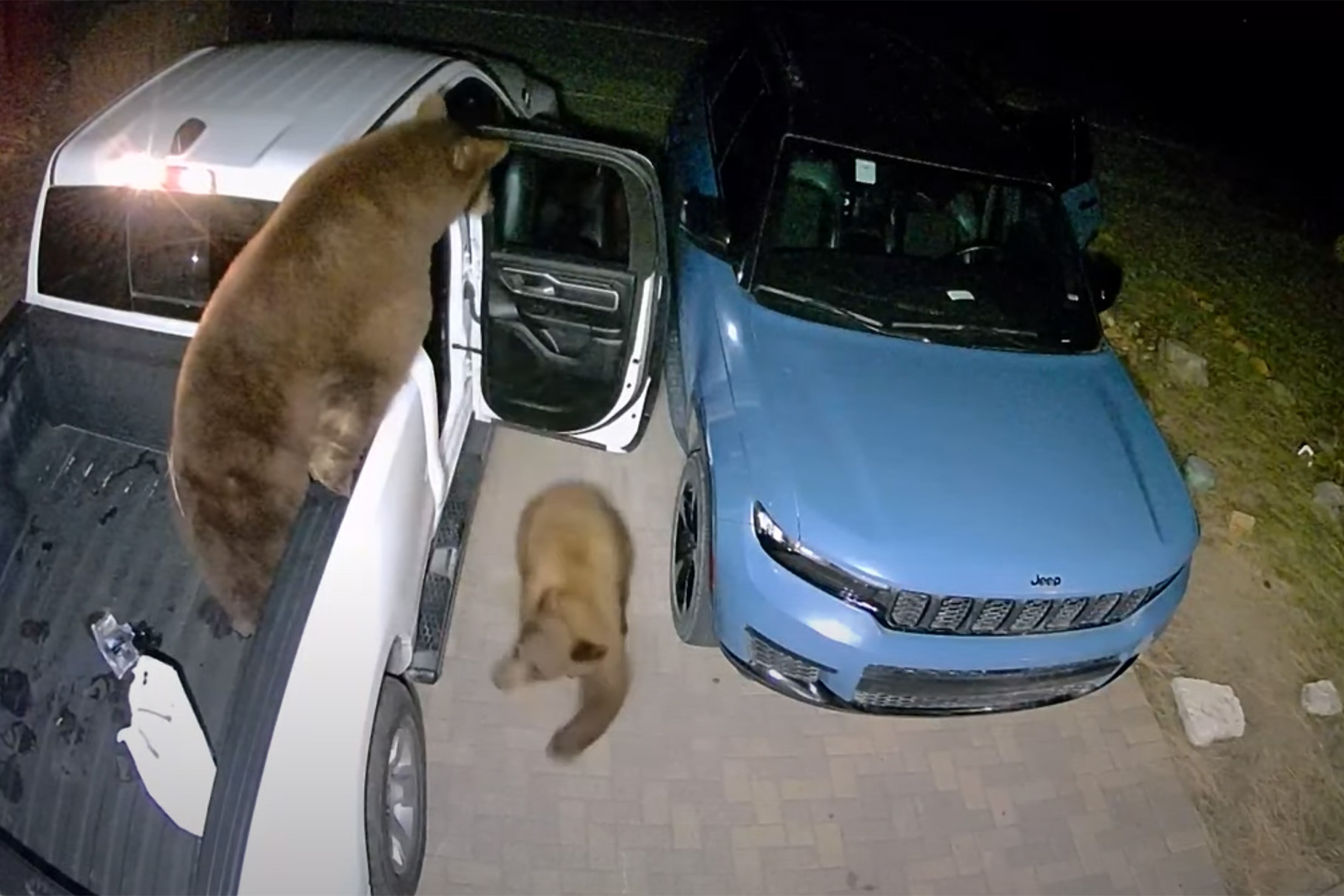 Медведи без труда открыли двери двух припаркованных автомобилей